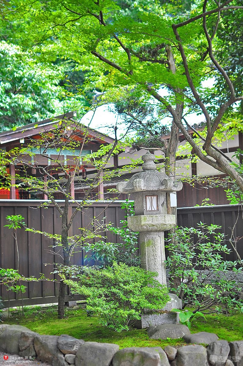 DSC_0162.jpg