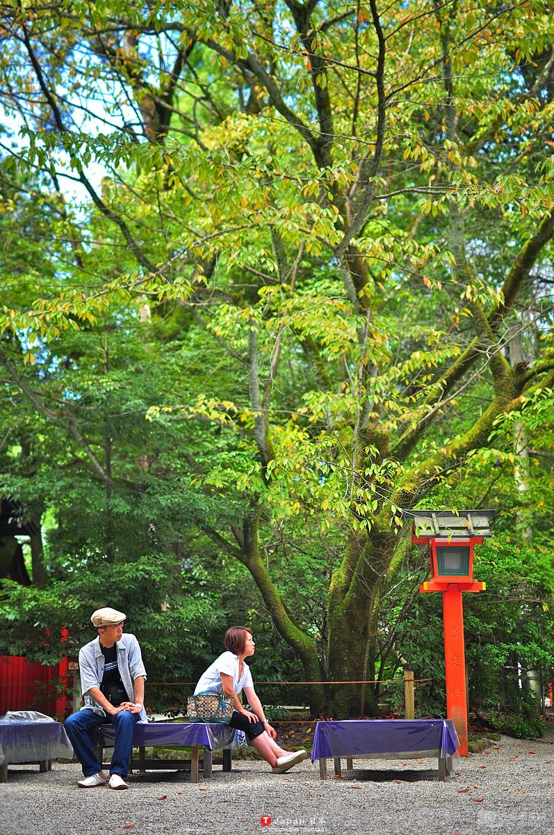 DSC_0175.jpg
