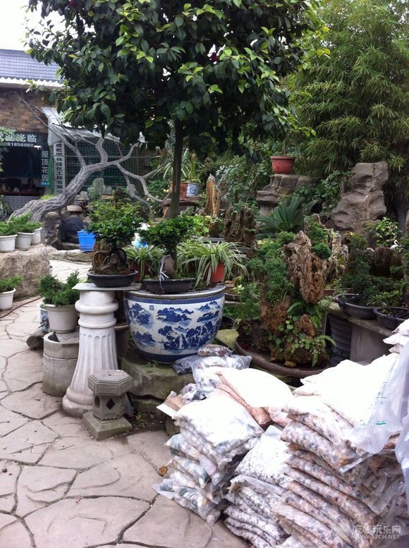 成都金林湾花卉交易市场 (7).jpg