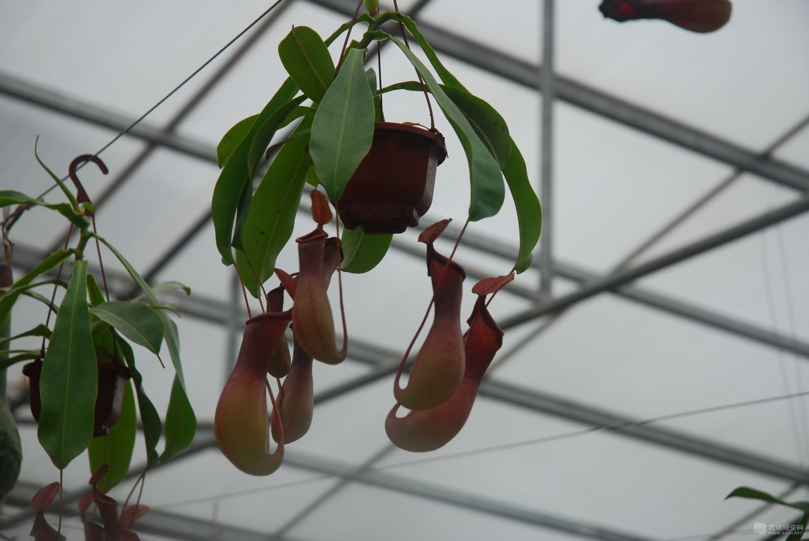 DSC_0294.JPG