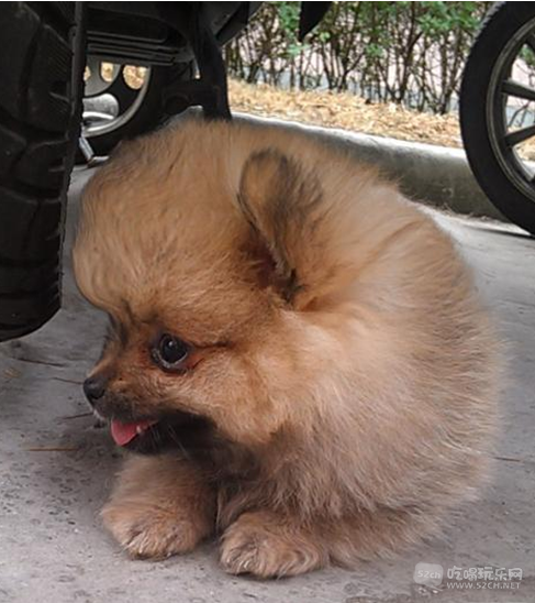 QQ截图20120719145646.png