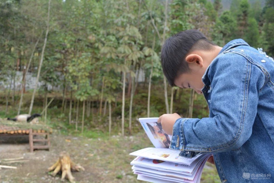 热爱学习的小子，看熊猫都要拿本书