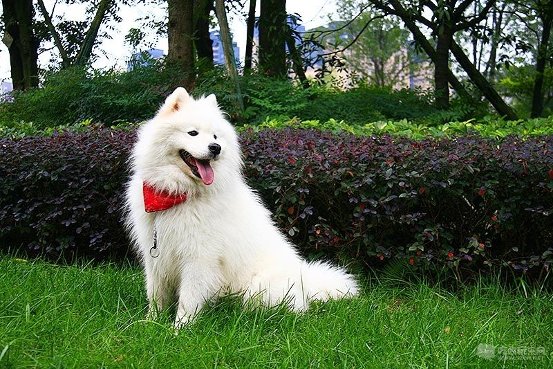 21_MG_0056处理小图.jpg
