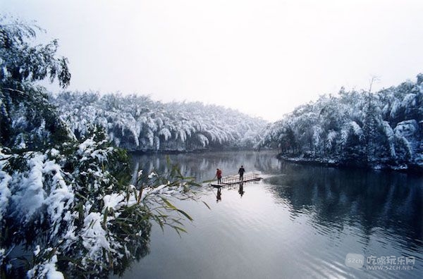 蜀南竹海.jpg