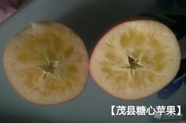 茂县糖心苹果3