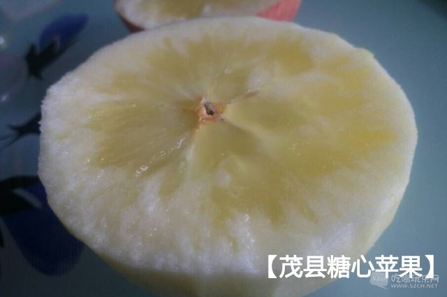 茂县糖心苹果4
