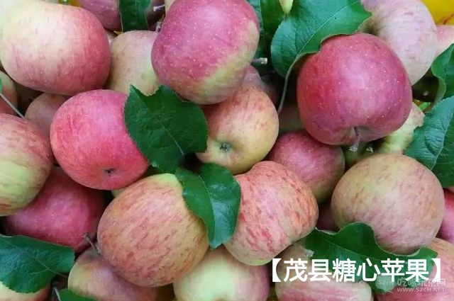 茂县糖心苹果8.jpg