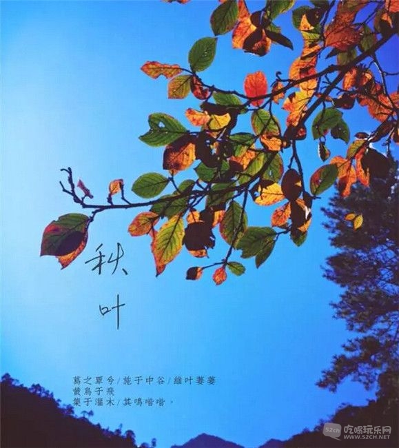 1~KLU2G$IF`ZRFO(O5U98}6_副本 - 副本.jpg