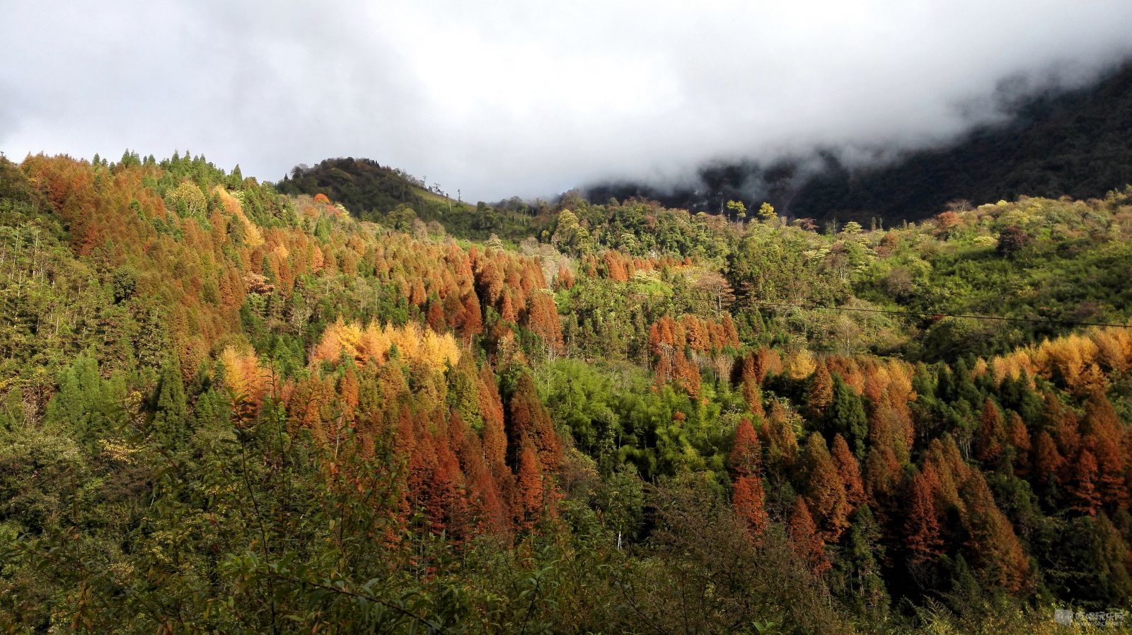 IMG_20151108_090604.jpg