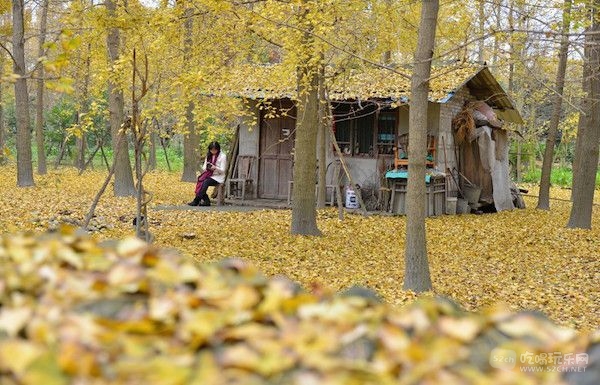 都江堰金羊村.jpg