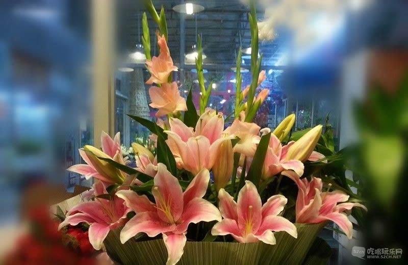 金林湾花市 (218).jpg