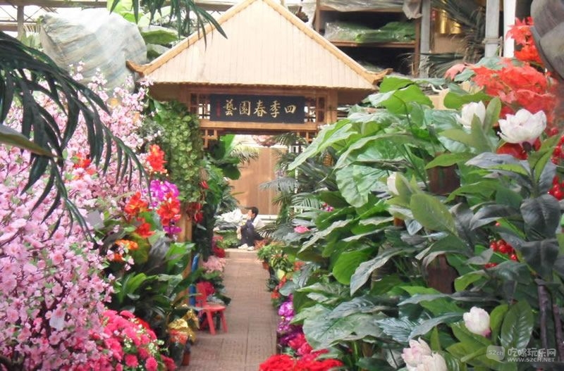 金林湾花市 (212).jpg