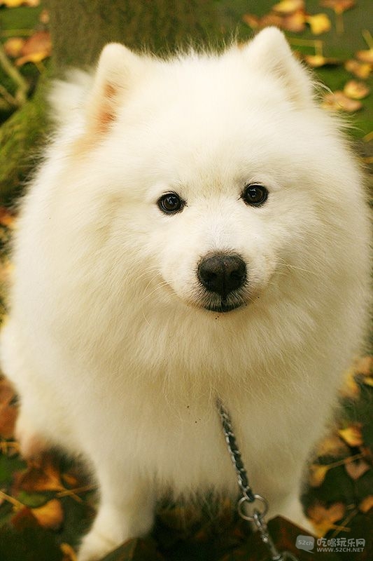 04_MG_0676处理小图.jpg