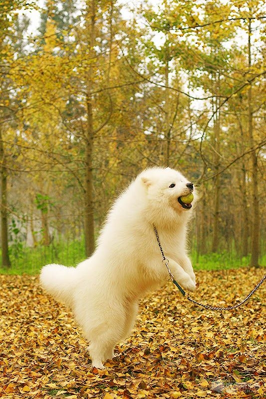 12_MG_0760处理小图.jpg