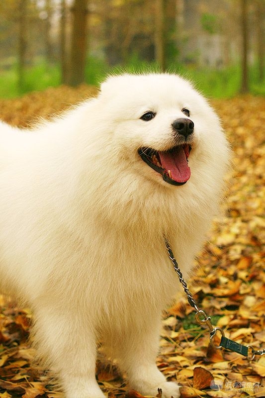 13_MG_0761处理小图.jpg