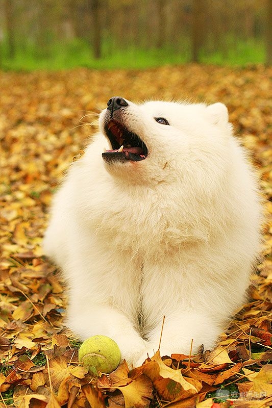 17_MG_0768处理小图.jpg
