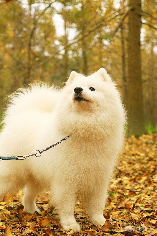 24_MG_0780处理小图.jpg
