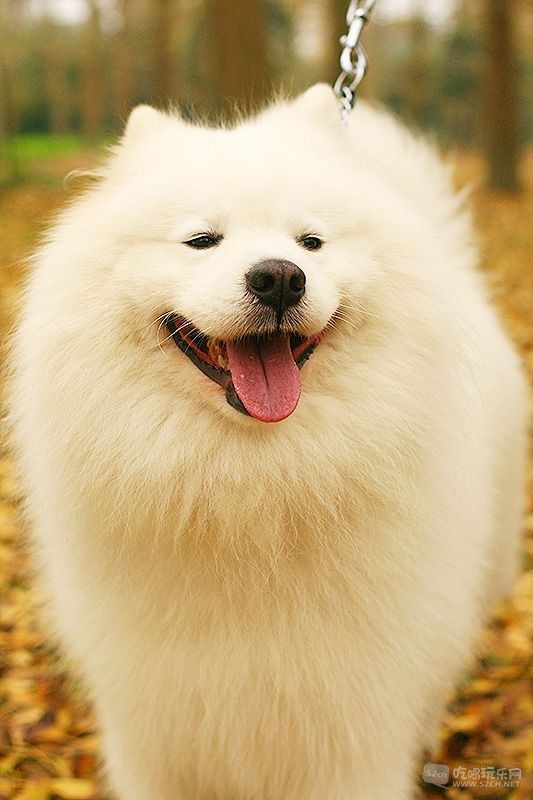 29_MG_0791处理小图.jpg