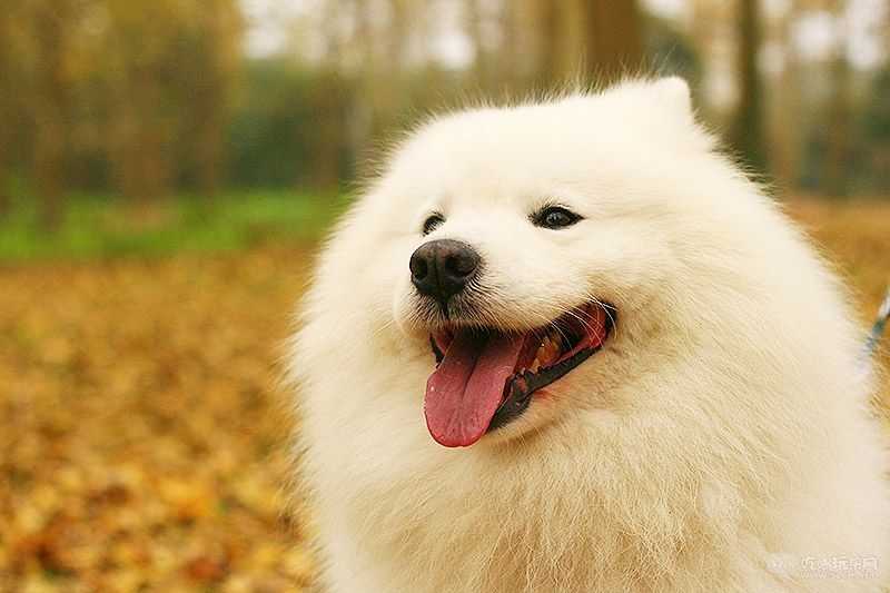 30_MG_0793处理小图.jpg