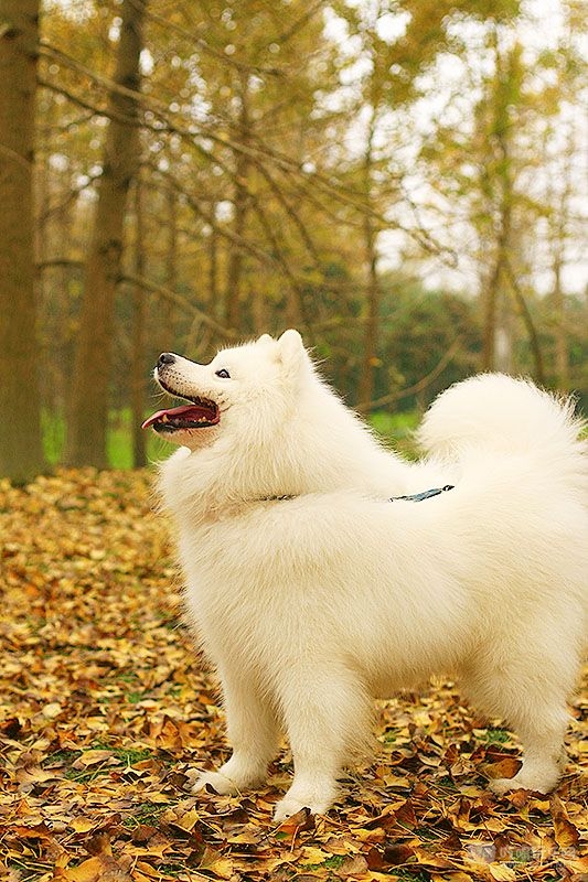 32_MG_0810处理小图.jpg