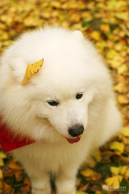 34_MG_0813处理小图.jpg
