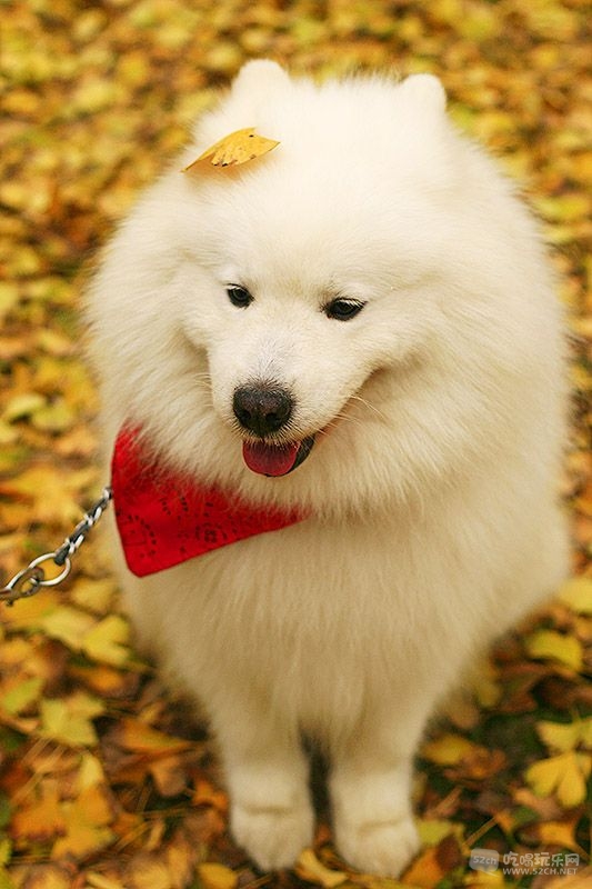 35_MG_0818处理小图.jpg
