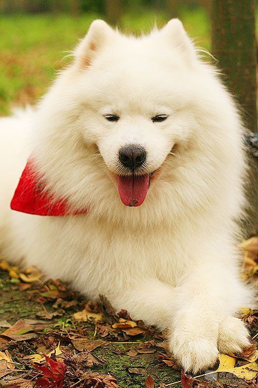 43_MG_0853处理小图.jpg