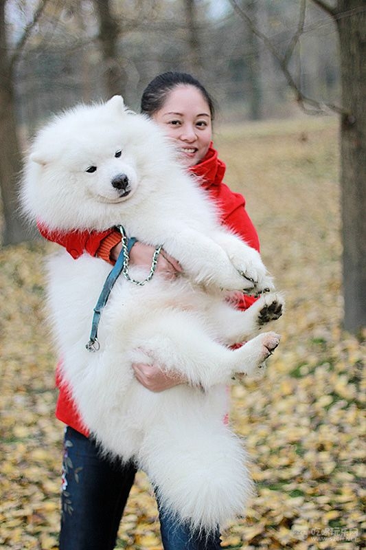 48 IMG_0943处理小图.jpg