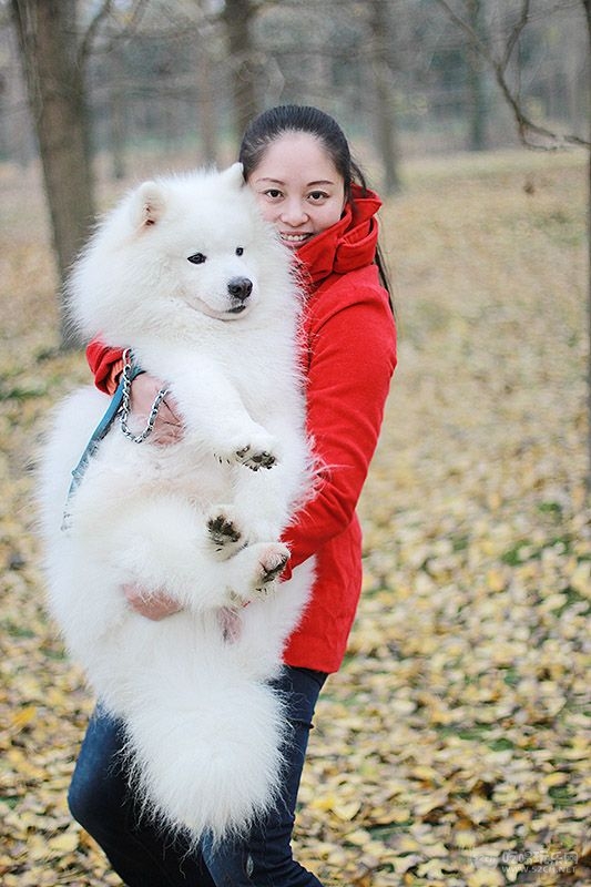 49 IMG_0946处理小图.jpg