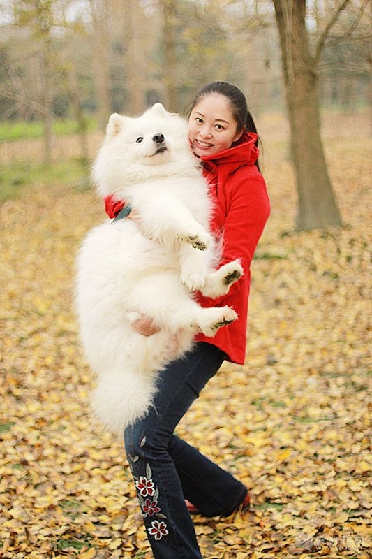 52 IMG_0950处理小图.jpg