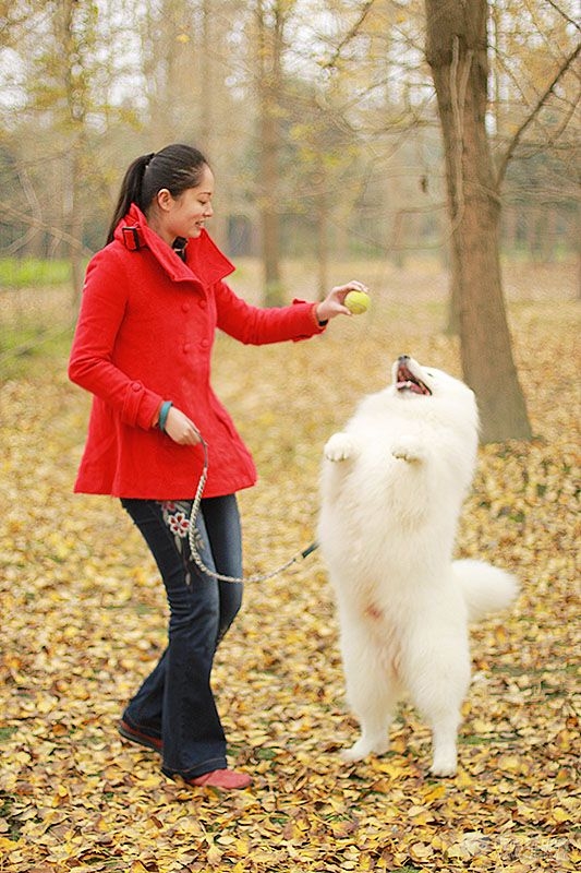 53 IMG_0951处理小图.jpg
