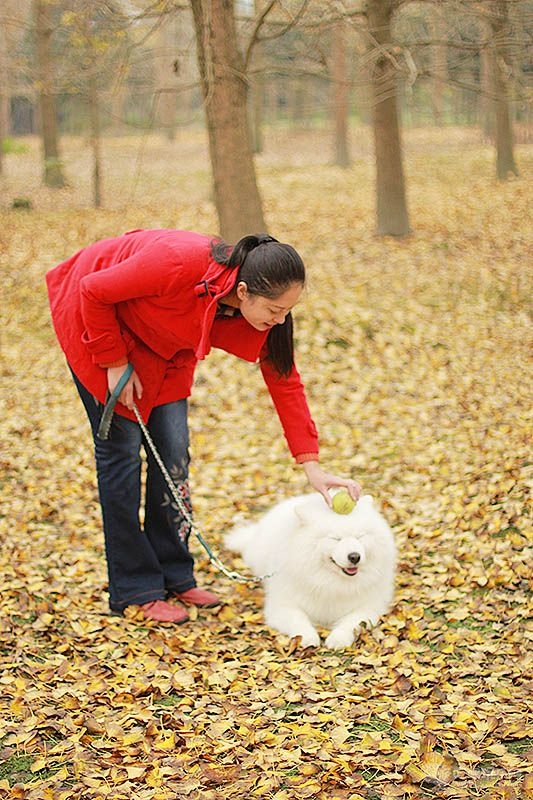 56 IMG_0957处理小图.jpg