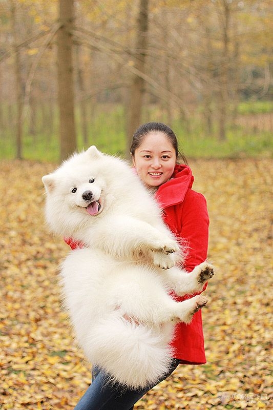 65 IMG_1026处理小图.jpg