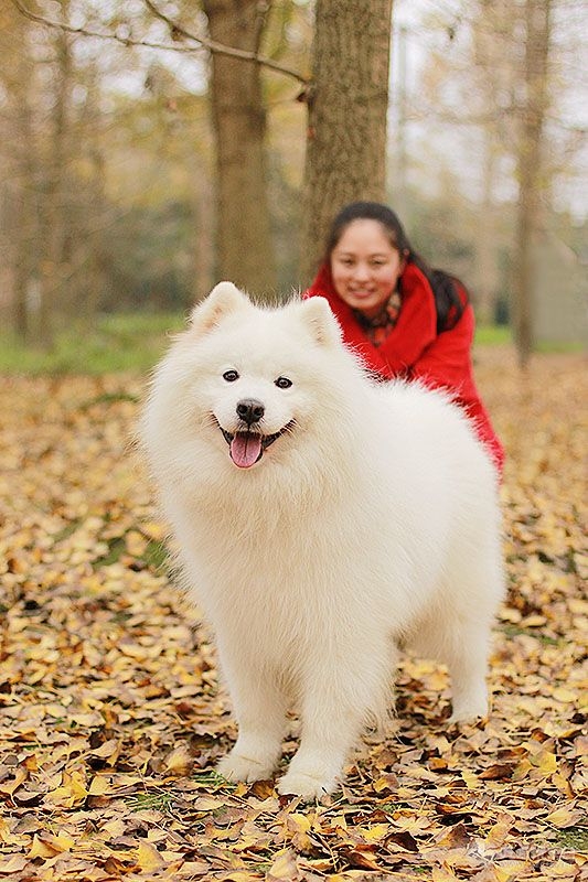 71 IMG_1075处理小图.jpg
