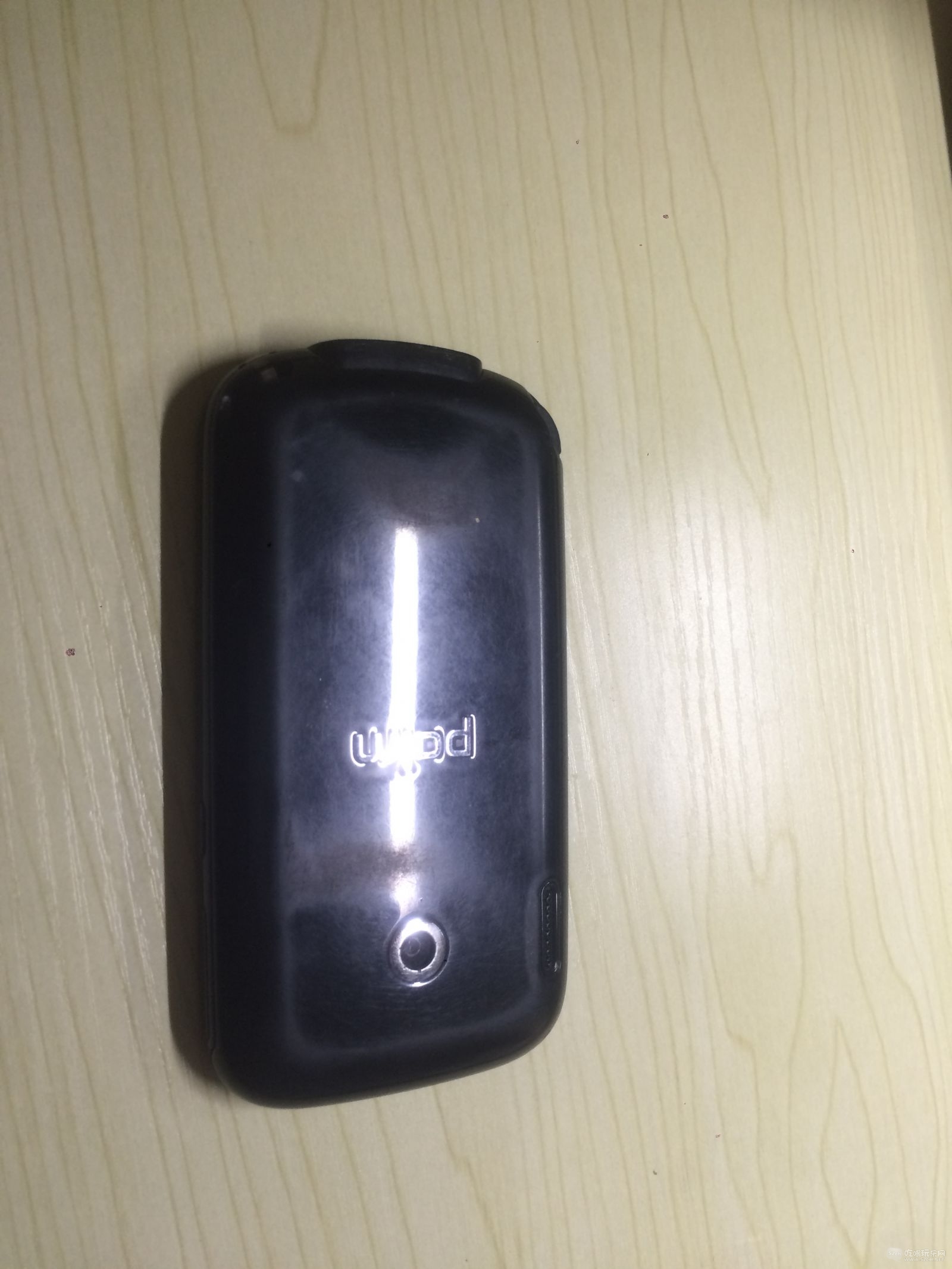PALM850-2.JPG