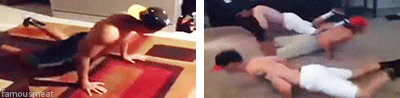 mp19281136_1434589044868_12.gif