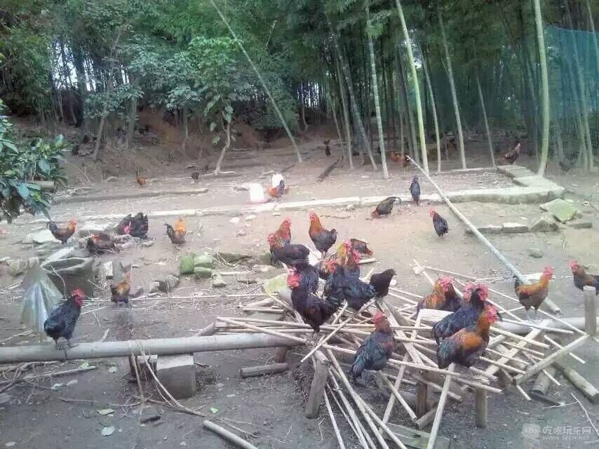 158
