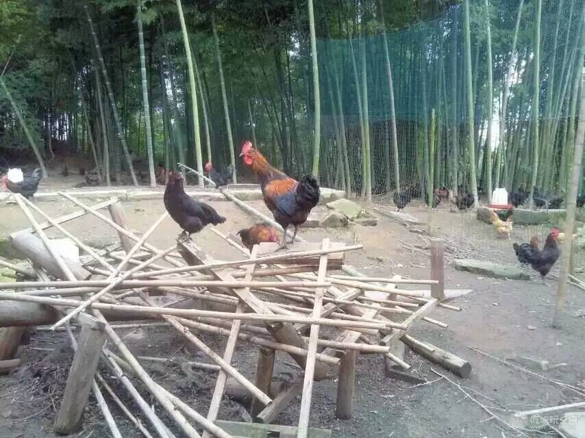 6479