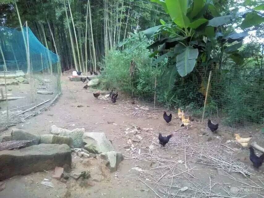 158