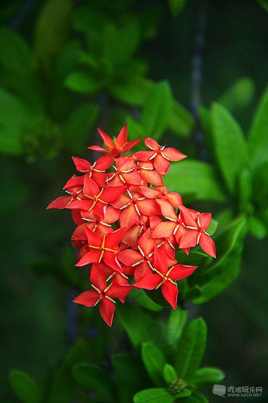 4-09_MG_1704处理小图.jpg