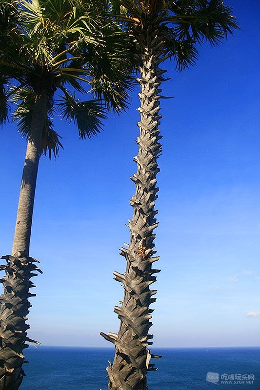 4-20_MG_1806处理小图.jpg