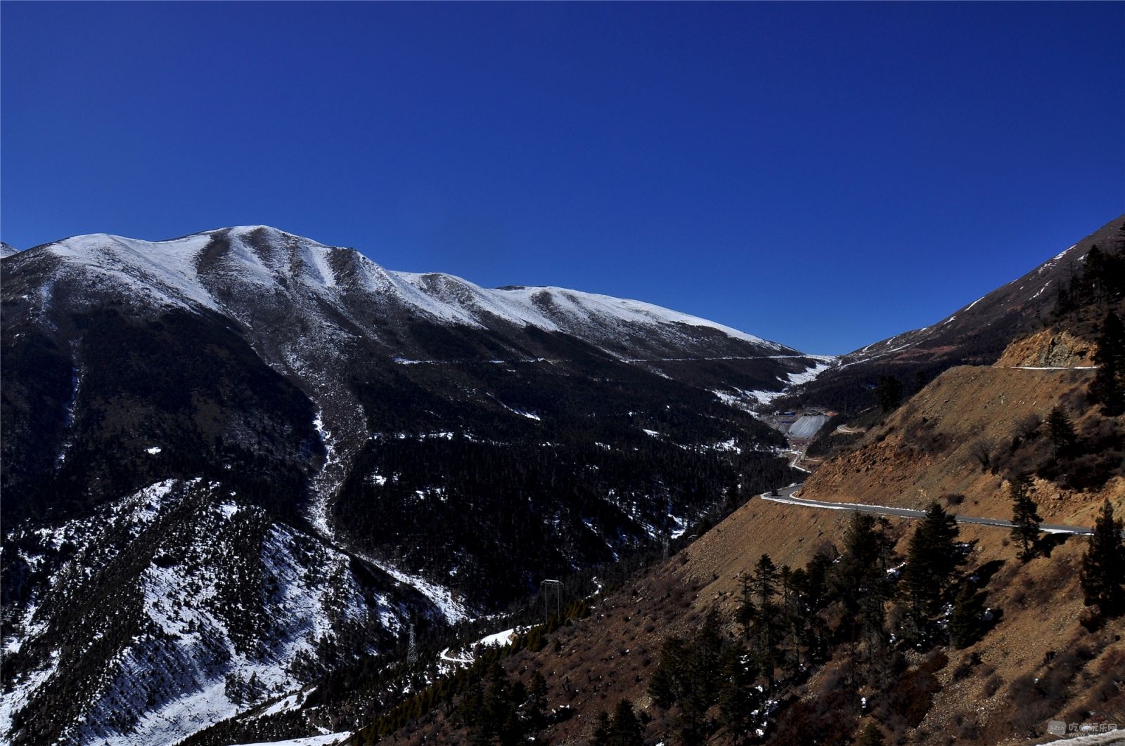 DSC_2706.JPG