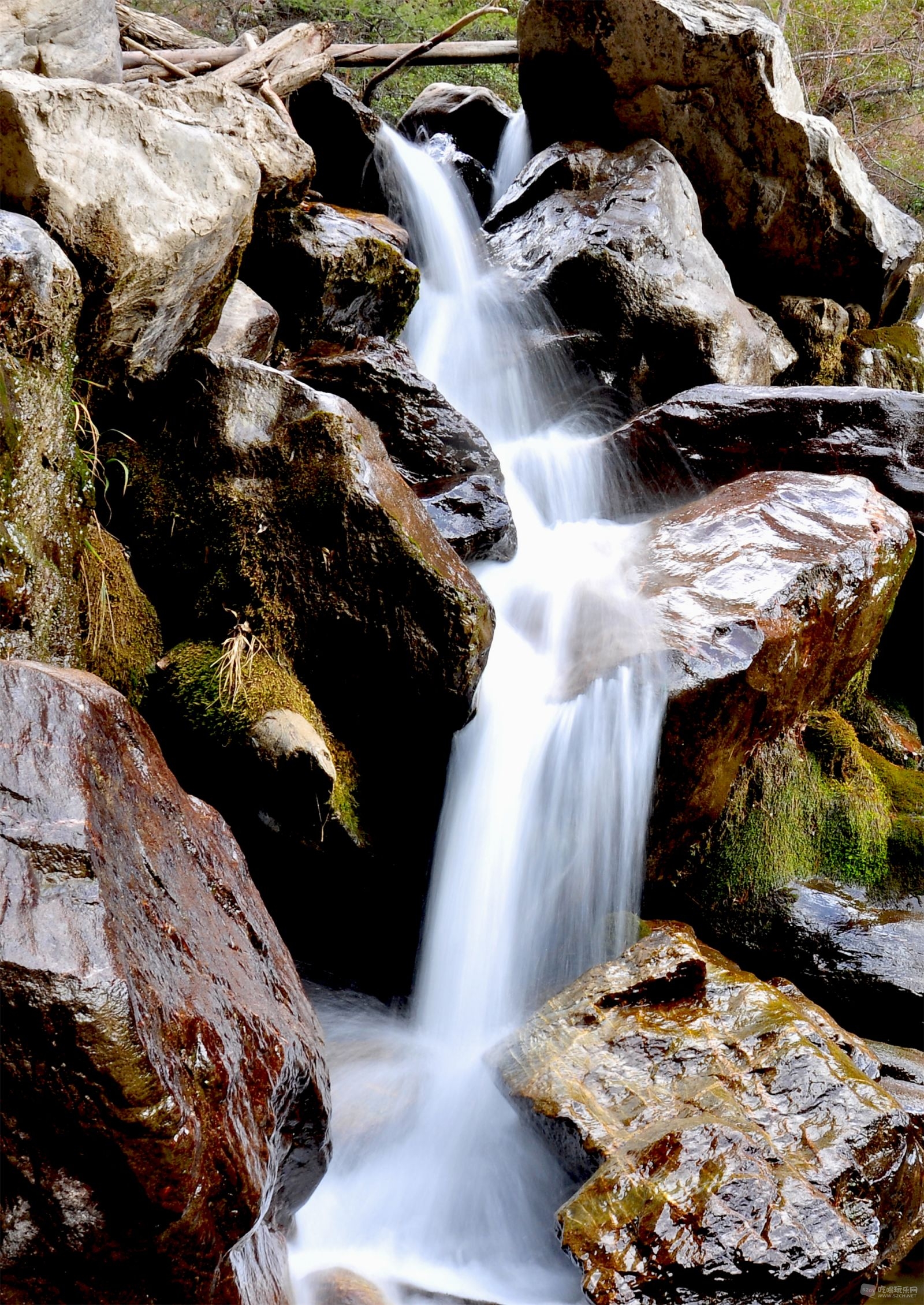 DSC_3791.JPG