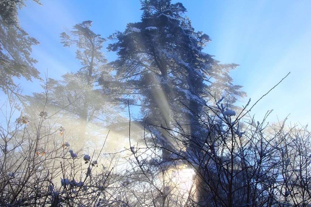 DPP_00037.jpg