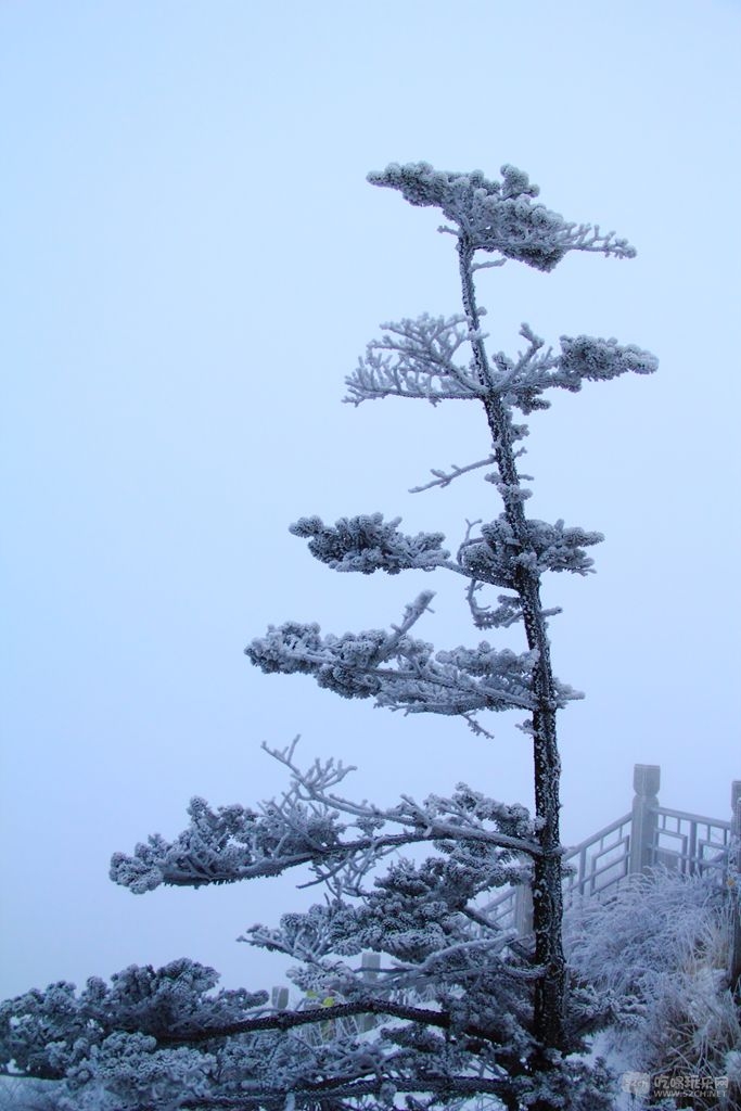 DPP_00199.jpg