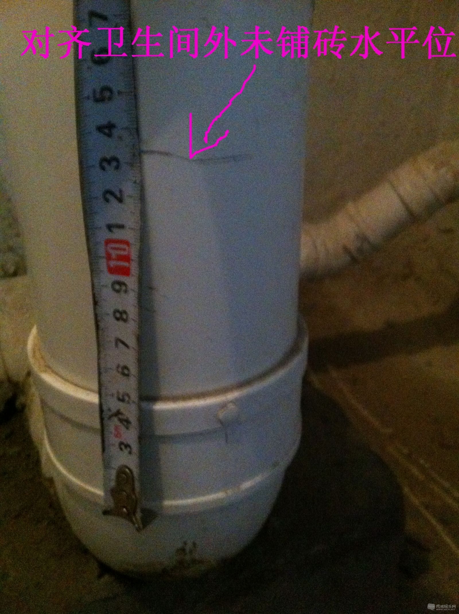 IMG 3331.jpg