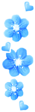 蓝色花.jpg