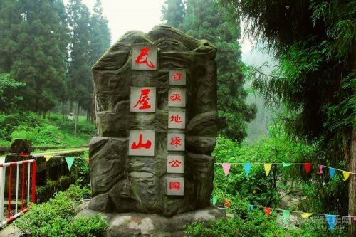 瓦屋山土蜂蜜