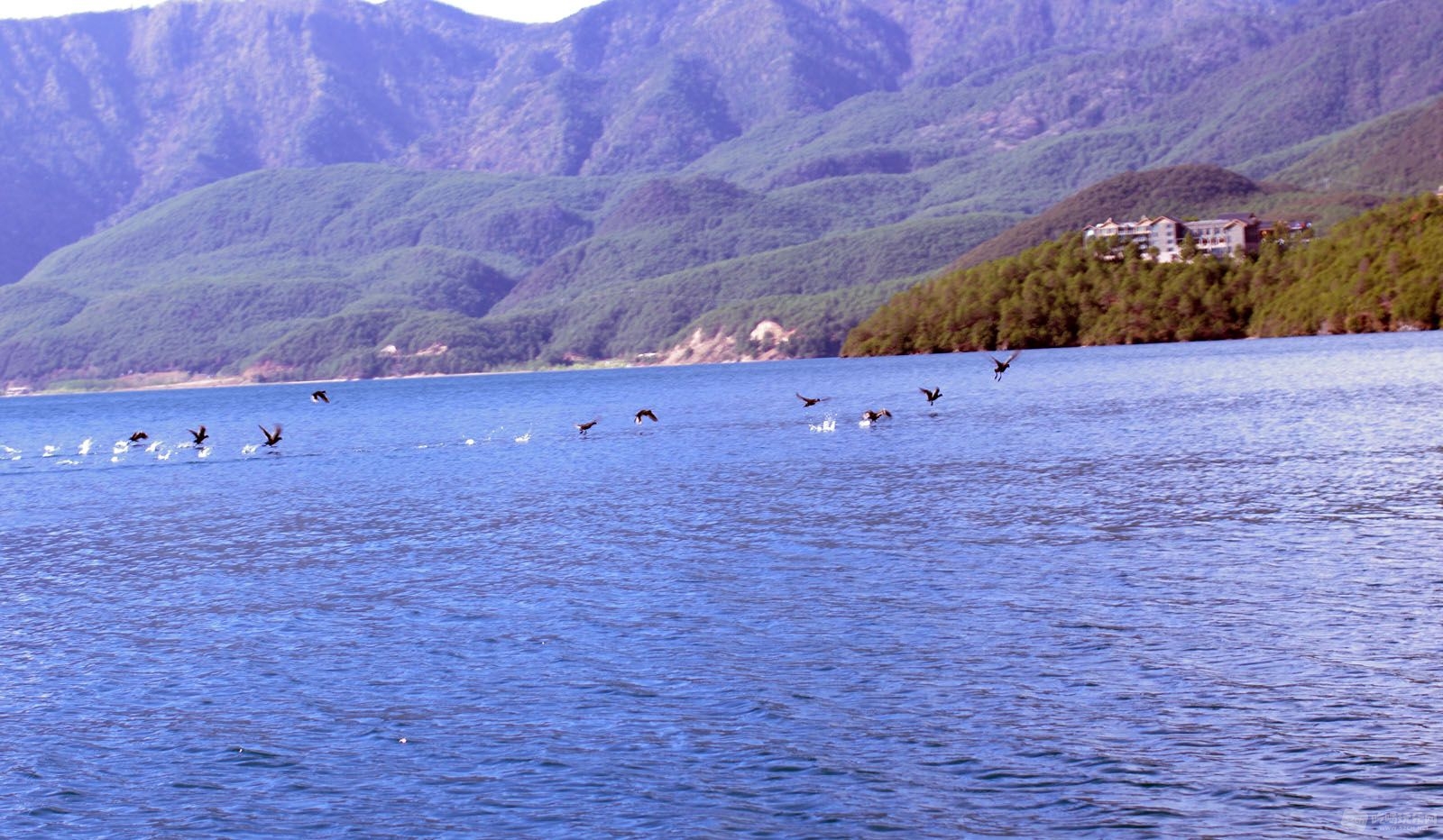 WKK_0456.JPG