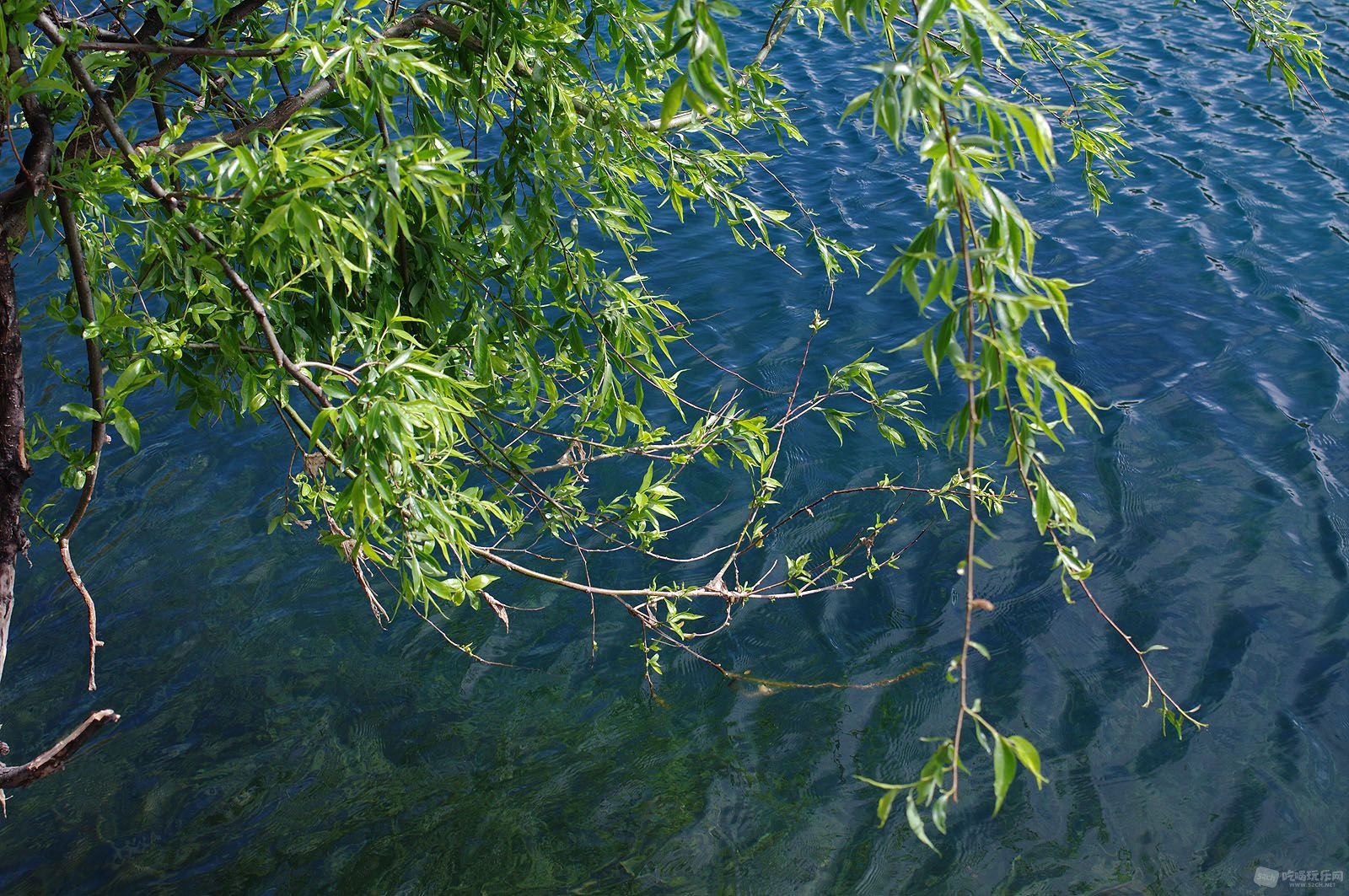 WKK_0513.JPG